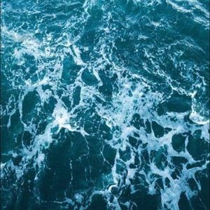 Meet your Posher, Savana